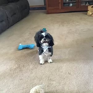 Meet your Posher, Cindy